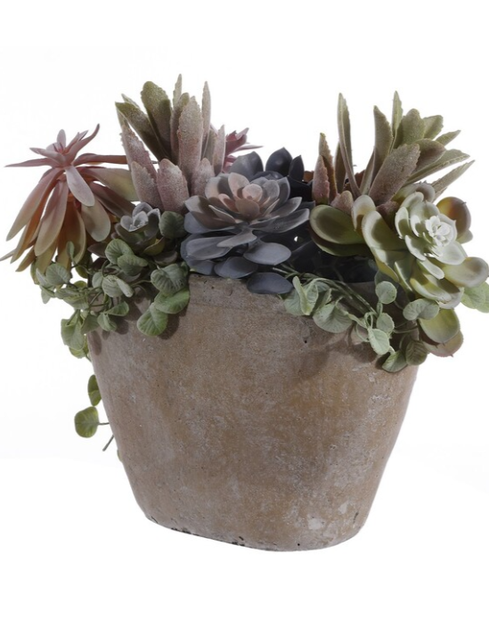 Faux Succulent Plant