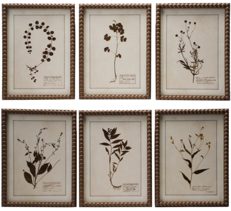 Framed Glass Wall Décor with Botanical