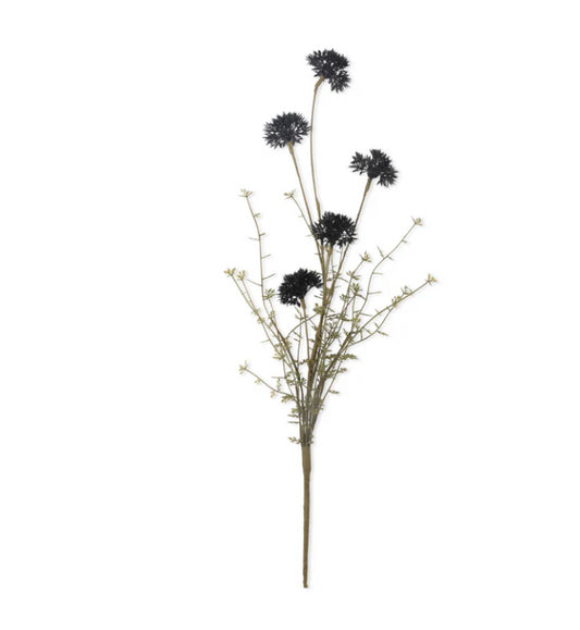 Faux Melaleuca- Noir