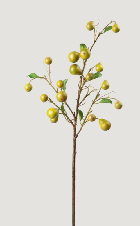 Pear Floral