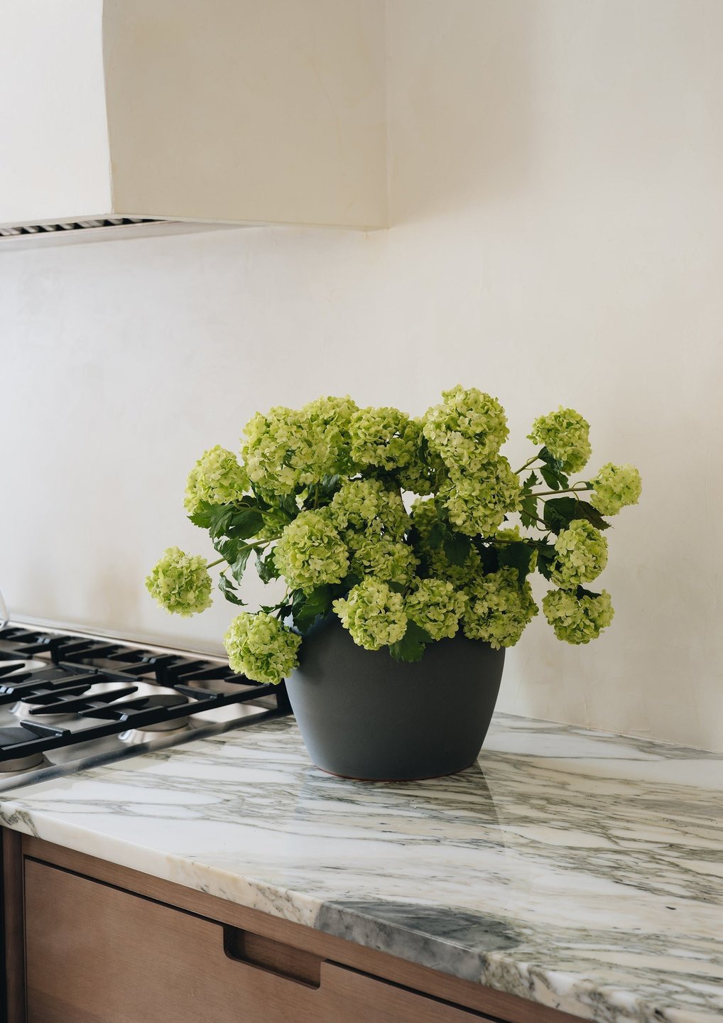 Artificial Faux Snowball Flower in Green