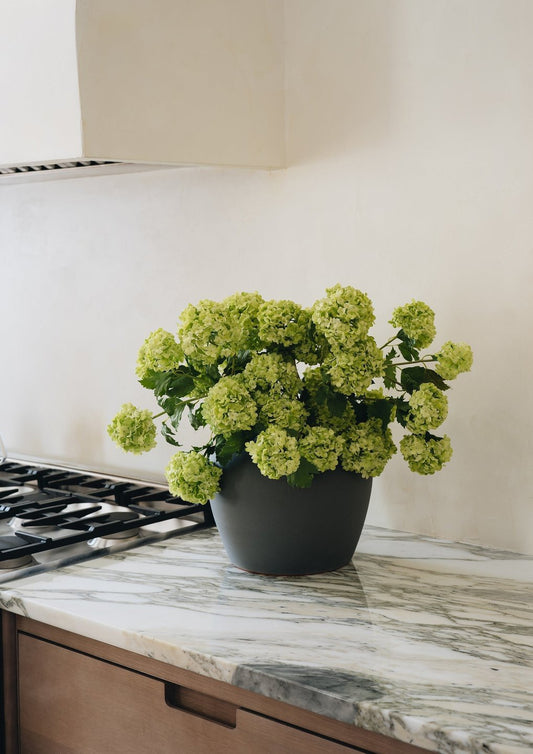 Artificial Faux Snowball Flower in Green