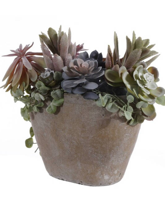 Faux Succulent Plant